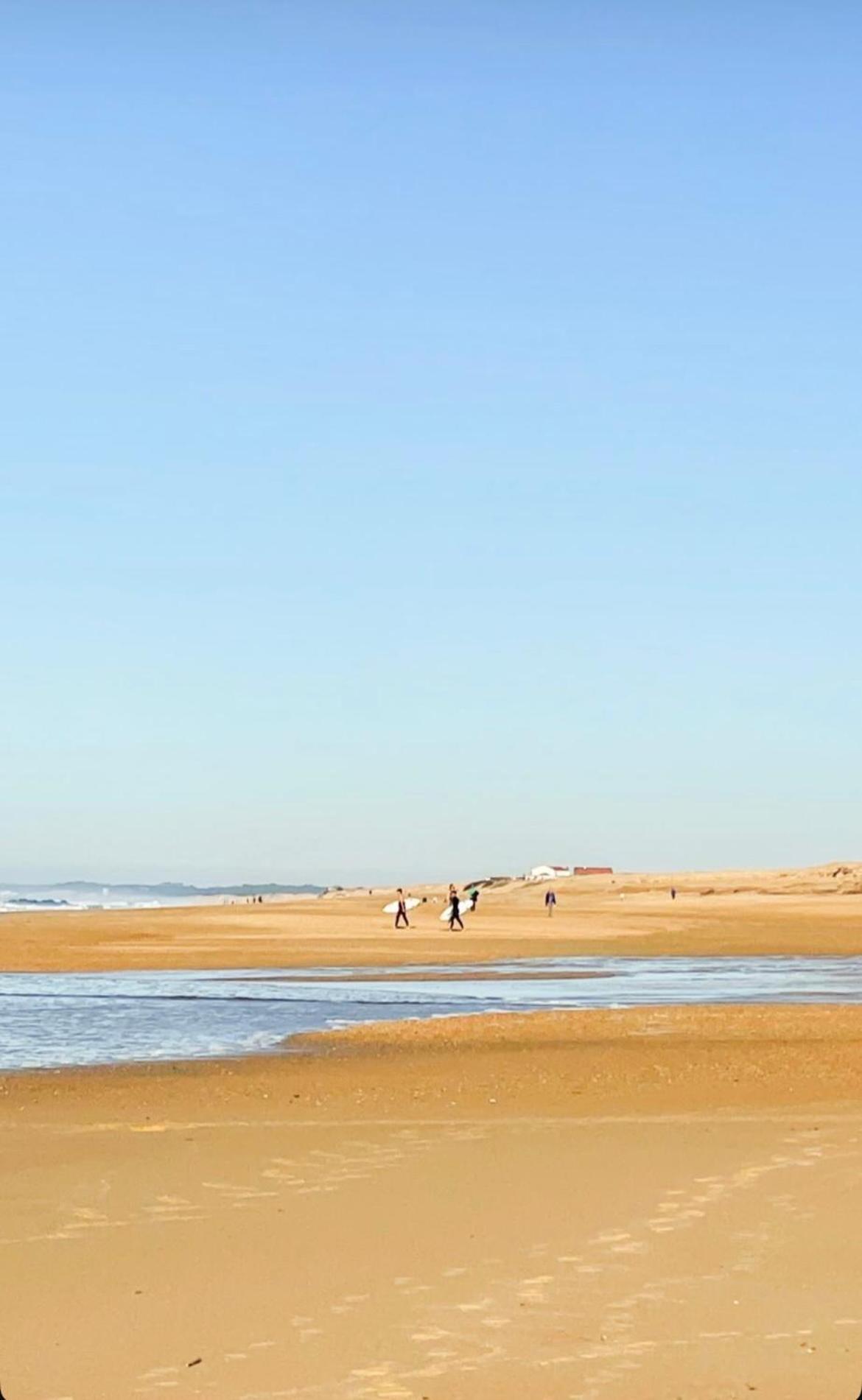 T3 Labenne Capacite 6 Couchages 10Min De La Plage Eksteriør billede